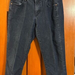 LOFT Dark Denim Jeans